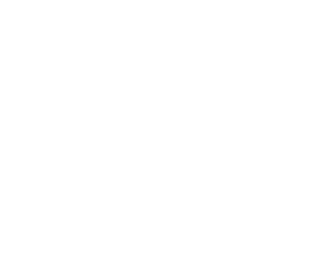 MEDIO CARBON